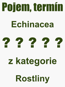 Co je to Echinacea? Vznam slova, termn, Definice vrazu Echinacea. Co znamen odborn pojem Echinacea z kategorie Rostliny?