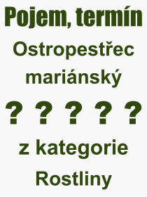 Co je to Ostropestec marinsk? Vznam slova, termn, Odborn termn, vraz, slovo Ostropestec marinsk. Co znamen pojem Ostropestec marinsk z kategorie Rostliny?