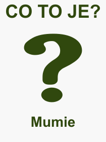 Co je to Mumie? Vznam slova, termn, Definice vrazu, termnu Mumie. Co znamen odborn pojem Mumie z kategorie Rzn?