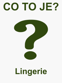 Co je to Lingerie? Vznam slova, termn, Definice odbornho termnu, slova Lingerie. Co znamen pojem Lingerie z kategorie Rzn?