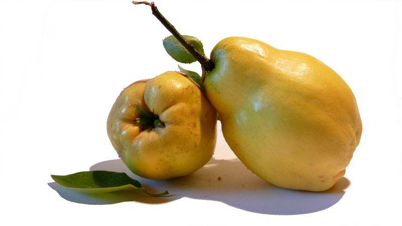 Dv kdoule, zdrav ovoce podobn hrukm. Autor: Helga Kattinger, zdroj: Pixabay