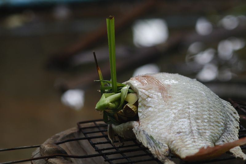 Grilovan ryba tilpie na grilu. Autor:เอกลักษณ์ มะลิซ้อน, zdroj: Pixabay