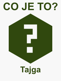 Co je to Tajga? Vznam slova, termn, Definice vrazu Tajga. Co znamen odborn pojem Tajga z kategorie Proda?