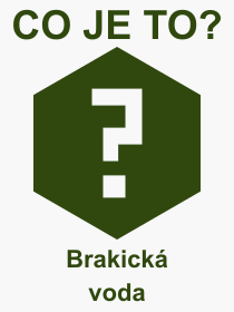 Co je to Brakick voda? Vznam slova, termn, Odborn vraz, definice slova Brakick voda. Co znamen slovo Brakick voda z kategorie Proda?