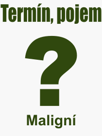 Co je to Malign? Vznam slova, termn, Odborn vraz, definice slova Malign. Co znamen slovo Malign z kategorie Lkastv?