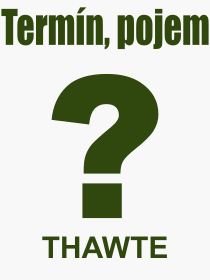 Co je to THAWTE? Vznam slova, termn, Definice odbornho termnu, slova THAWTE. Co znamen pojem THAWTE z kategorie Internet?