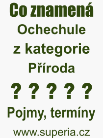 Co je to Ochechule? Vznam slova, termn, Odborn vraz, definice slova Ochechule. Co znamen slovo Ochechule z kategorie Proda?
