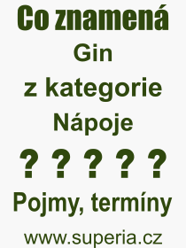 Co je to Gin? Vznam slova, termn, Definice vrazu Gin. Co znamen odborn pojem Gin z kategorie Npoje?