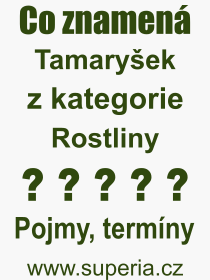 Co je to Tamaryek? Vznam slova, termn, Odborn vraz, definice slova Tamaryek. Co znamen pojem Tamaryek z kategorie Rostliny?