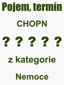 Pojem, výraz, heslo, co je to CHOPN? 