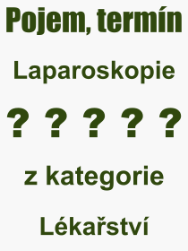 Pojem, výraz, heslo, co je to Laparoskopie? 