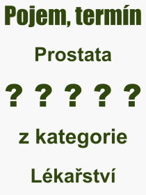 Co je to Prostata? Význam slova, termín, Výraz, termín, definice slova Prostata. Co znamená odborný pojem Prostata z kategorie Lékařství?