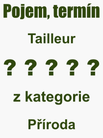 Co je to Tailleur? Význam slova, termín, Výraz, termín, definice slova Tailleur. Co znamená odborný pojem Tailleur z kategorie Různé?