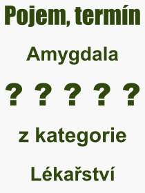 Co je to Amygdala? Význam slova, termín, Definice výrazu Amygdala. Co znamená odborný pojem Amygdala z kategorie Lékařství?