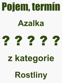 Co je to Azalka? Význam slova, termín, Odborný výraz, definice slova Azalka. Co znamená pojem Azalka z kategorie Rostliny?