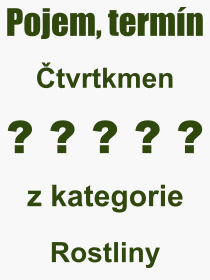 Co je to tvrtkmen? Vznam slova, termn, Definice vrazu tvrtkmen. Co znamen odborn pojem tvrtkmen z kategorie Rostliny?