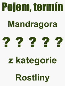 Co je to Mandragora? Význam slova, termín, Výraz, termín, definice slova Mandragora. Co znamená odborný pojem Mandragora z kategorie Rostliny?