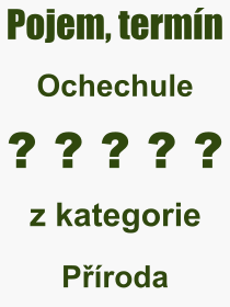 Co je to Ochechule? Význam slova, termín, Definice výrazu, termínu Ochechule. Co znamená odborný pojem Ochechule z kategorie Příroda?