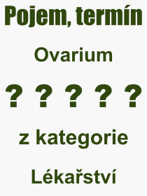 Pojem, výraz, heslo, co je to Ovarium? 