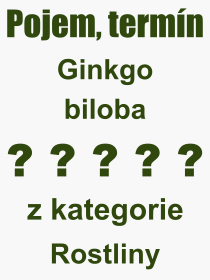Co je to Ginkgo biloba? Význam slova, termín, Odborný výraz, definice slova Ginkgo biloba. Co znamená pojem Ginkgo biloba z kategorie Rostliny?
