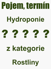 Pojem, vraz, heslo, co je to Hydroponie? 