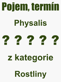 Co je to Physalis? Význam slova, termín, Výraz, termín, definice slova Physalis. Co znamená odborný pojem Physalis z kategorie Rostliny?
