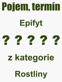 Pojem, vraz, heslo, co je to Epifyt? 