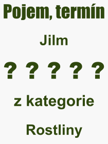 Co je to Jilm? Význam slova, termín, Výraz, termín, definice slova Jilm. Co znamená odborný pojem Jilm z kategorie Rostliny?