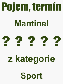 Pojem, vraz, heslo, co je to Mantinel? 