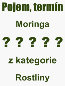 Co je to Moringa? Význam slova, termín, Odborný výraz, definice slova Moringa. Co znamená pojem Moringa z kategorie Rostliny?