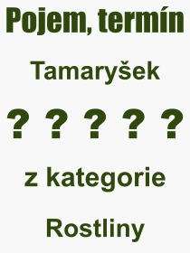 Pojem, výraz, heslo, co je to Tamaryšek? 
