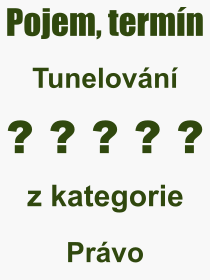 Co je to Tunelovn? Vznam slova, termn, Definice vrazu, termnu Tunelovn. Co znamen odborn pojem Tunelovn z kategorie Prvo?