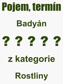 Co je to Badyán? Význam slova, termín, Odborný výraz, definice slova Badyán. Co znamená pojem Badyán z kategorie Jídlo?