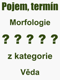 Co je to Morfologie? Význam slova, termín, Odborný výraz, definice slova Morfologie. Co znamená slovo Morfologie z kategorie Věda?