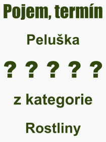 Co je to Peluka? Vznam slova, termn, Odborn vraz, definice slova Peluka. Co znamen slovo Peluka z kategorie Rostliny?