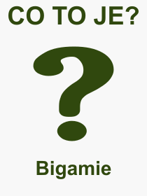 Co je to Bigamie? Význam slova, termín, Odborný výraz, definice slova Bigamie. Co znamená slovo Bigamie z kategorie Právo?