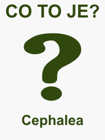 Co je to Cephalea? Význam slova, termín, Výraz, termín, definice slova Cephalea. Co znamená odborný pojem Cephalea z kategorie Nemoce?