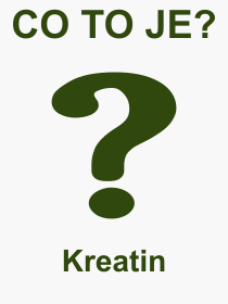 Pojem, výraz, heslo, co je to Kreatin? 
