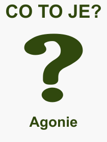 Co je to Agonie? Význam slova, termín, Odborný výraz, definice slova Agonie. Co znamená pojem Agonie z kategorie Lékařství?