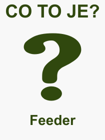 Co je to Feeder? V�znam slova, term�n, Definice v�razu Feeder. Co znamen� odborn� pojem Feeder z kategorie R�zn�?
