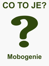Co je to Mobogenie? Význam slova, termín, Odborný výraz, definice slova Mobogenie. Co znamená pojem Mobogenie z kategorie Software?