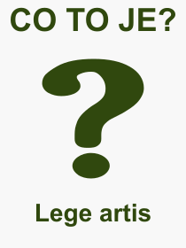 Pojem, výraz, heslo, co je to Lege artis? 