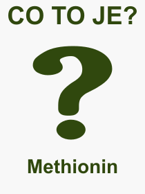 Pojem, výraz, heslo, co je to Methionin? 