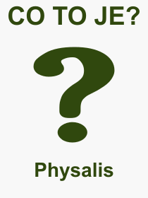 Pojem, vraz, heslo, co je to Physalis? 