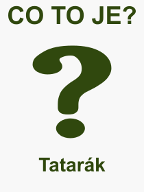 Co je to Tatark? Vznam slova, termn, Definice vrazu, termnu Tatark. Co znamen odborn pojem Tatark z kategorie Jdlo?