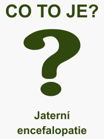 Co je to Jatern encefalopatie? Vznam slova, termn, Definice vrazu Jatern encefalopatie. Co znamen odborn pojem Jatern encefalopatie z kategorie Lkastv?