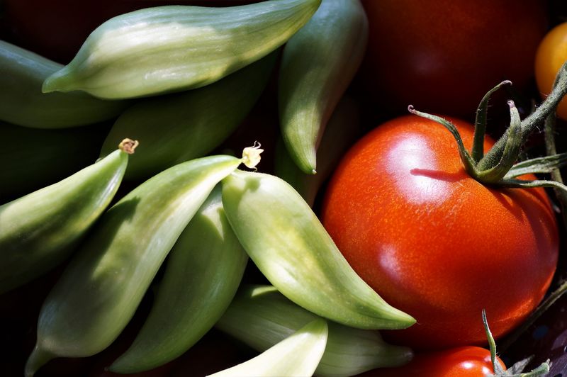 Paprikookurky s rajčetem. Autor: ivabalk, zdroj: Pixabay