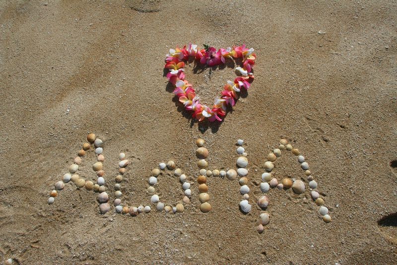 Slovo aloha sestavené že škeblí na písčité pláži. Autor: bibianagonzalez, zdroj: Pixabay