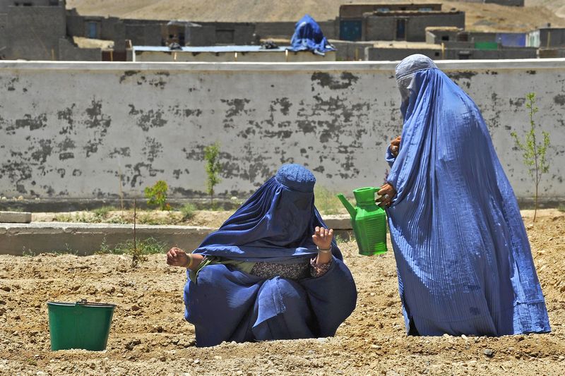 Afghánské ženy s burkami. Autor: Staff Sgt. Brian Ferguson, zdroj: Wikimedia commons, licence: Public domain