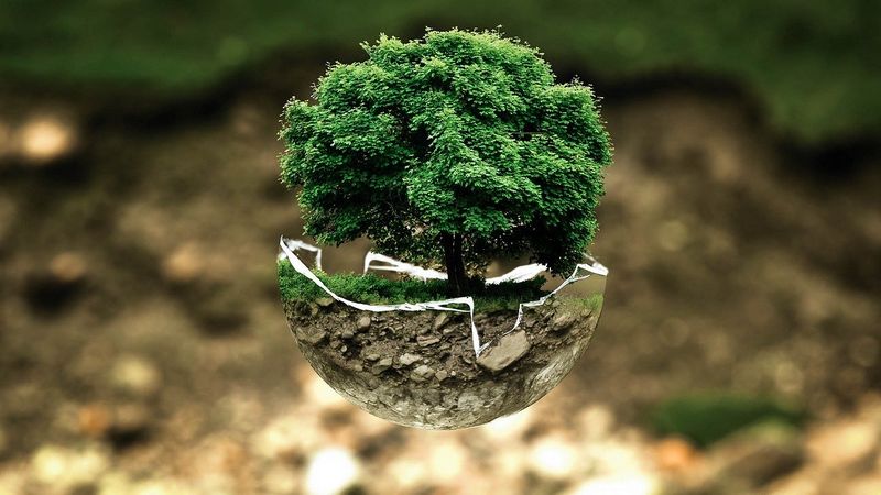 Slovo ekologie si většina lidí spojuje se snahou o ochranu životního prostředí. Ilustrační fotografie. Autor: Bela Geletneky, zdroj: Pixabay